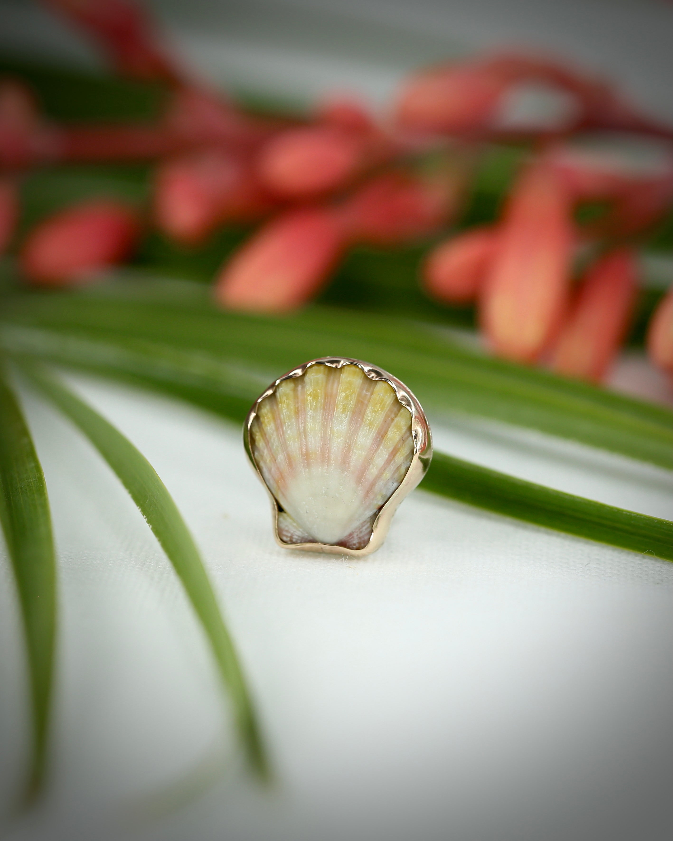Sunrise Shell Ear Cuffs