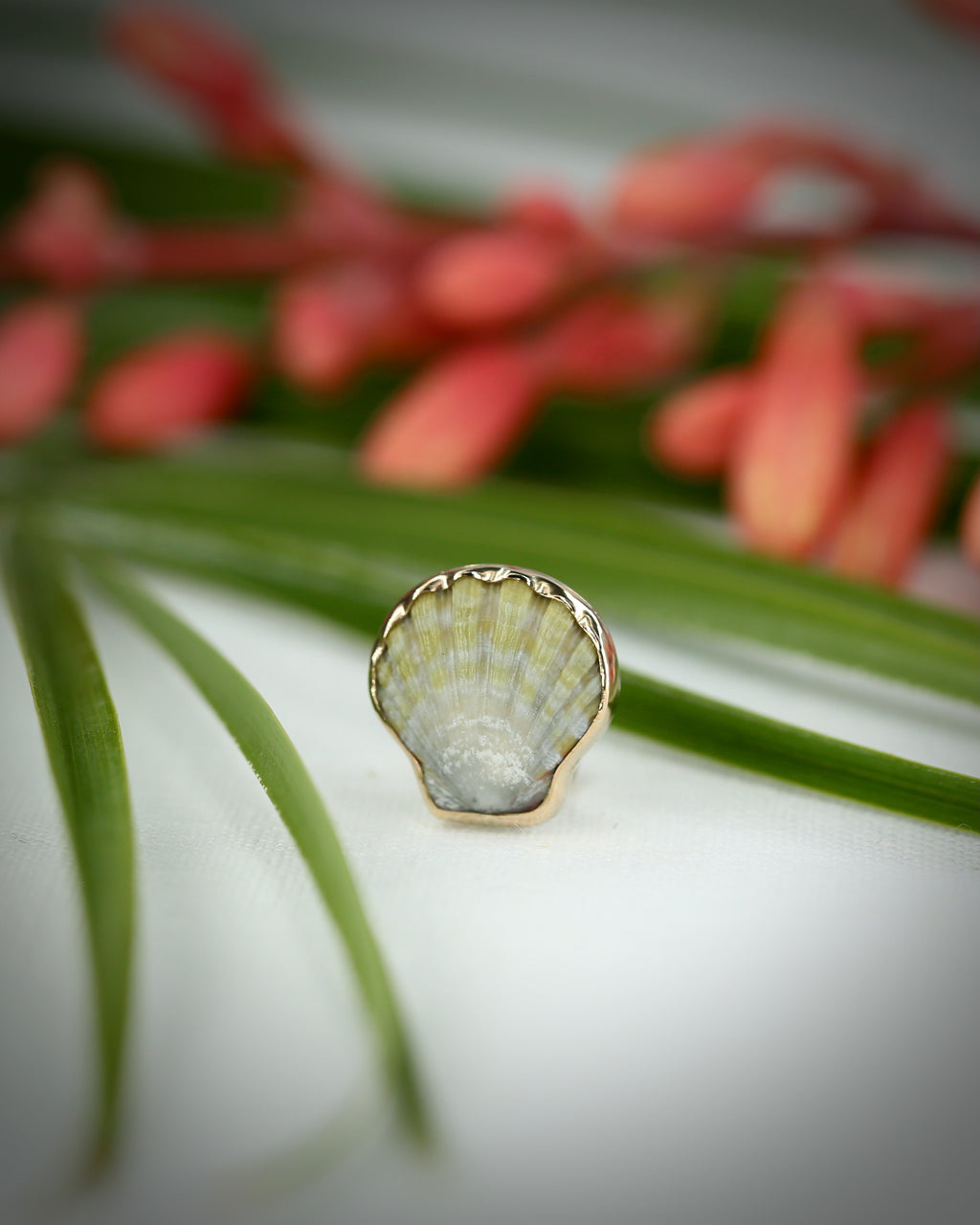 Sunrise Shell Ear Cuffs