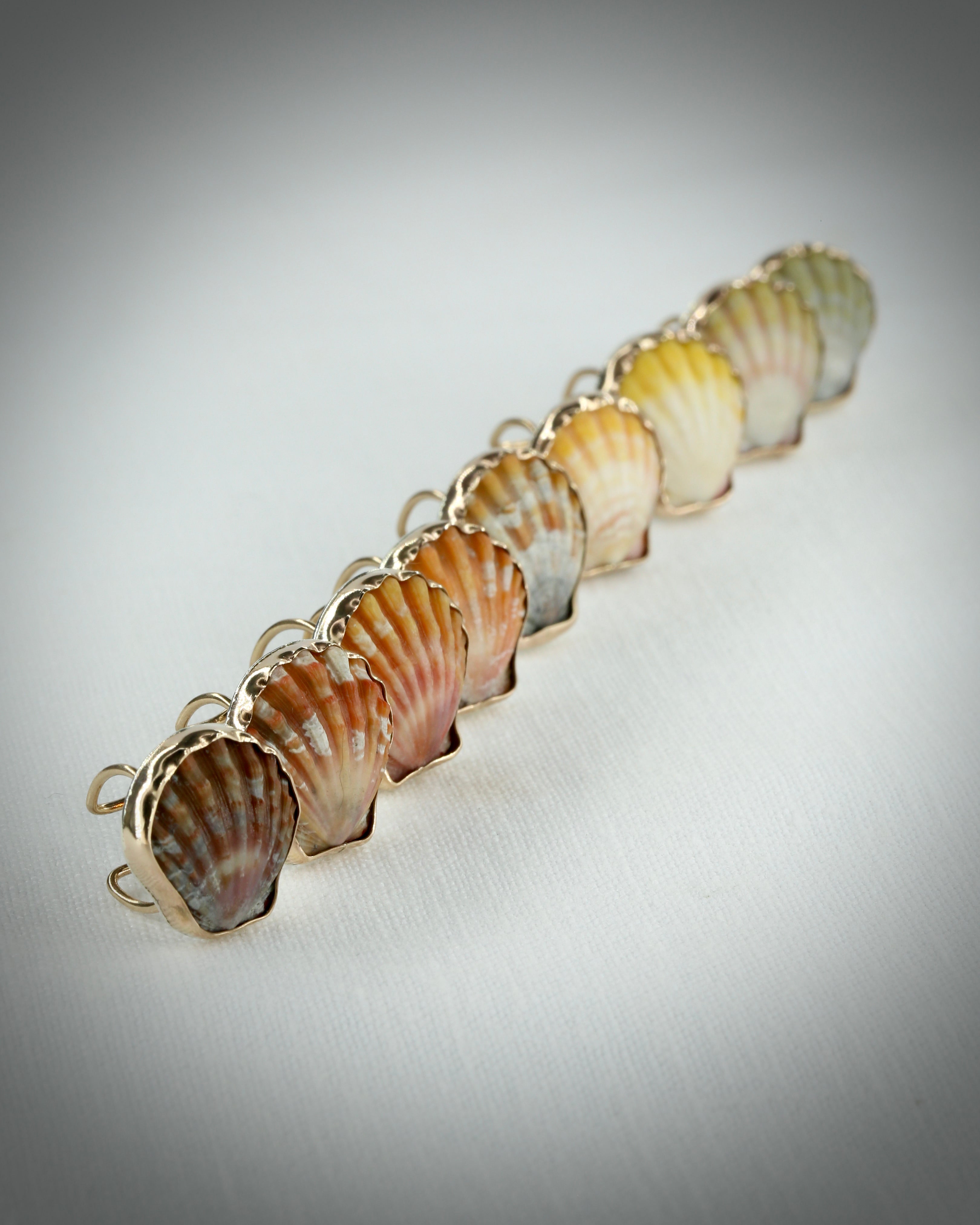 Sunrise Shell Ear Cuffs