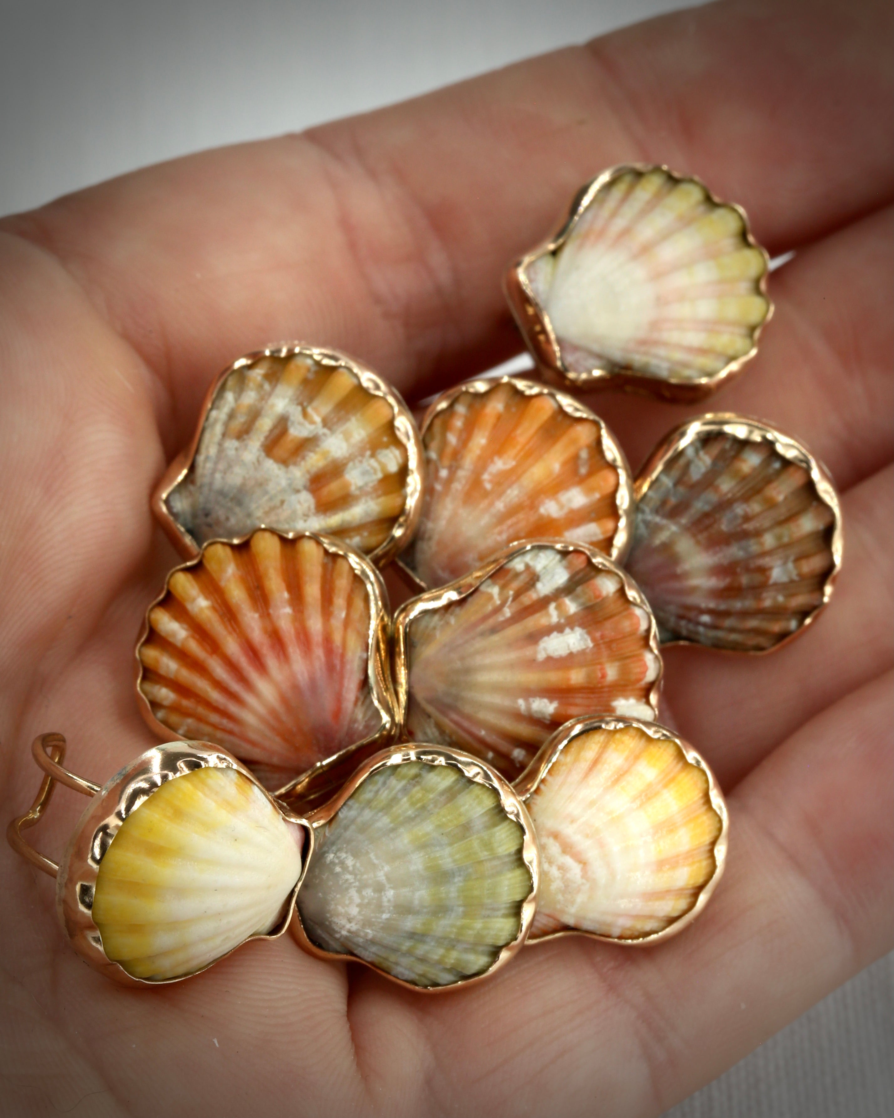 Sunrise Shell Ear Cuffs